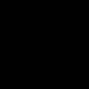 Meet your Posher, Isabella